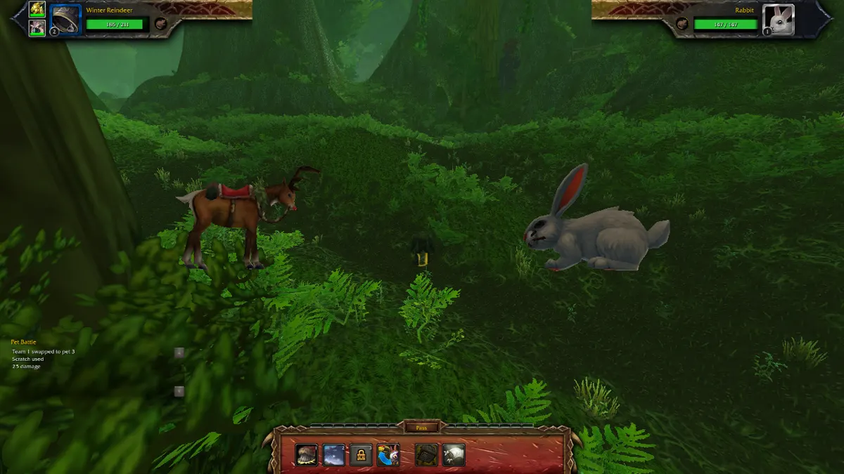 A wild pet battle in the forest