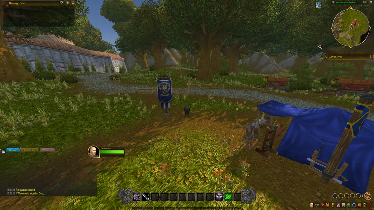 A toy in use in Stormwind